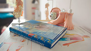 Image of anatomy book and anatomy visual aids